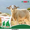 1617371066306.webp