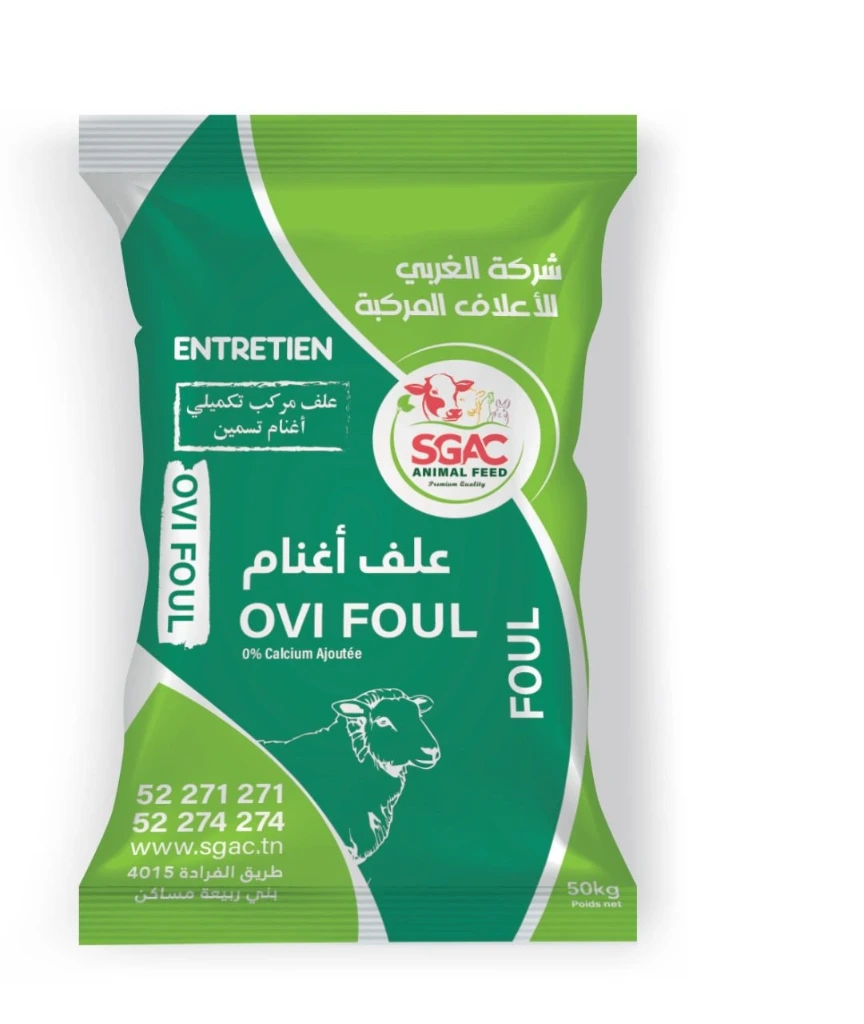 ovi-foul.webp