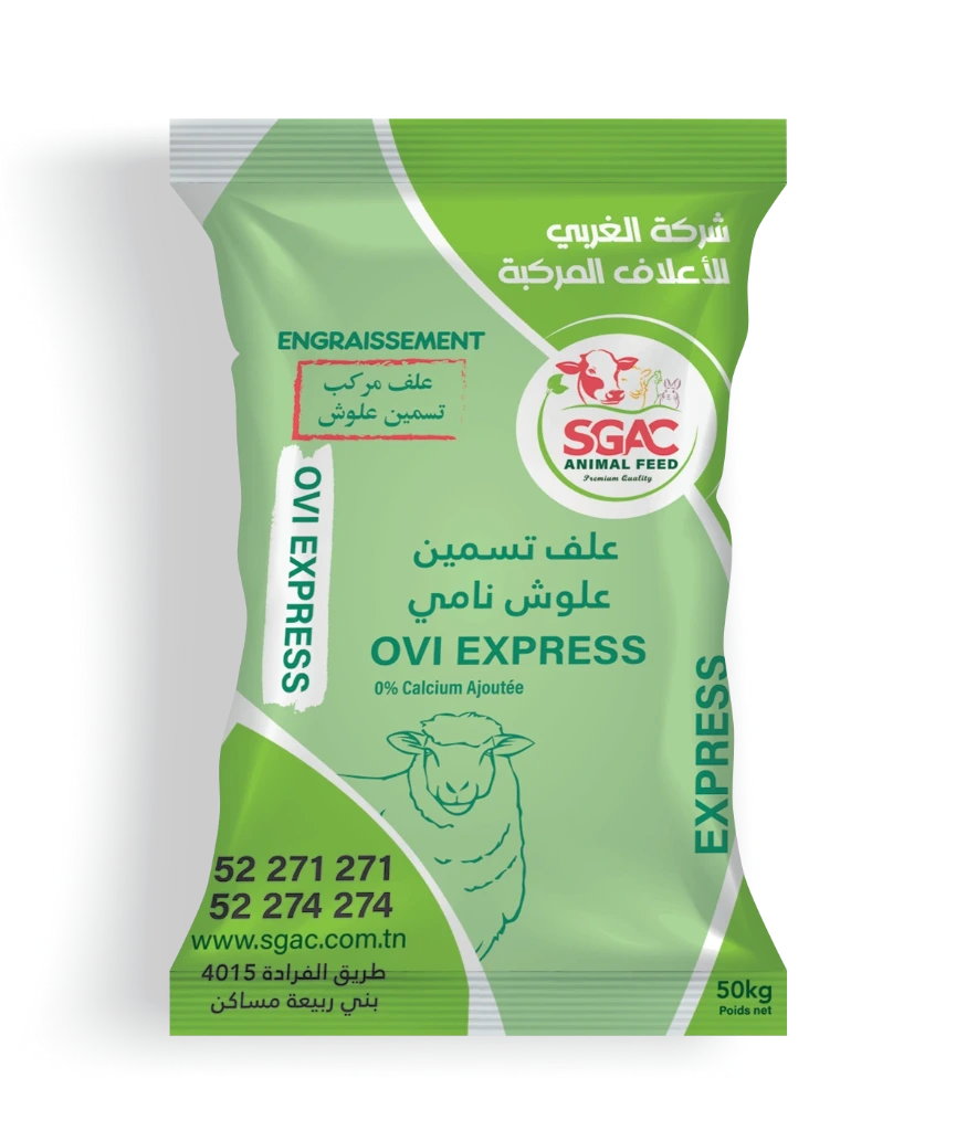 ovi-express.webp