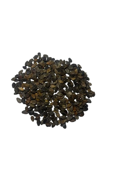 Dolaa  25G