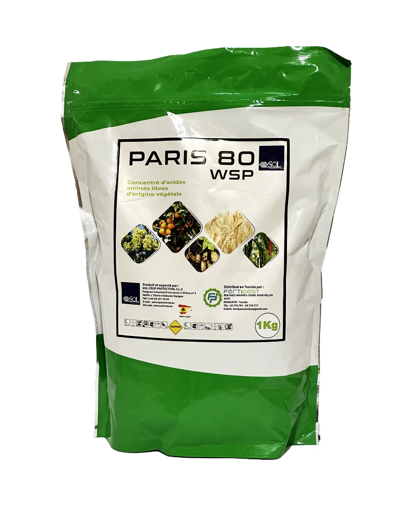 Paris 80 Wsp 1 KG
