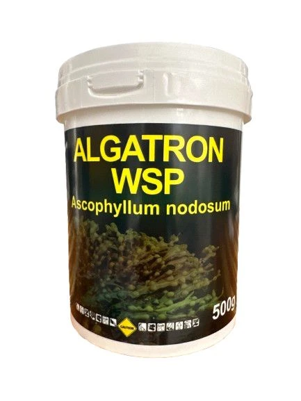 Algatron 500 GR